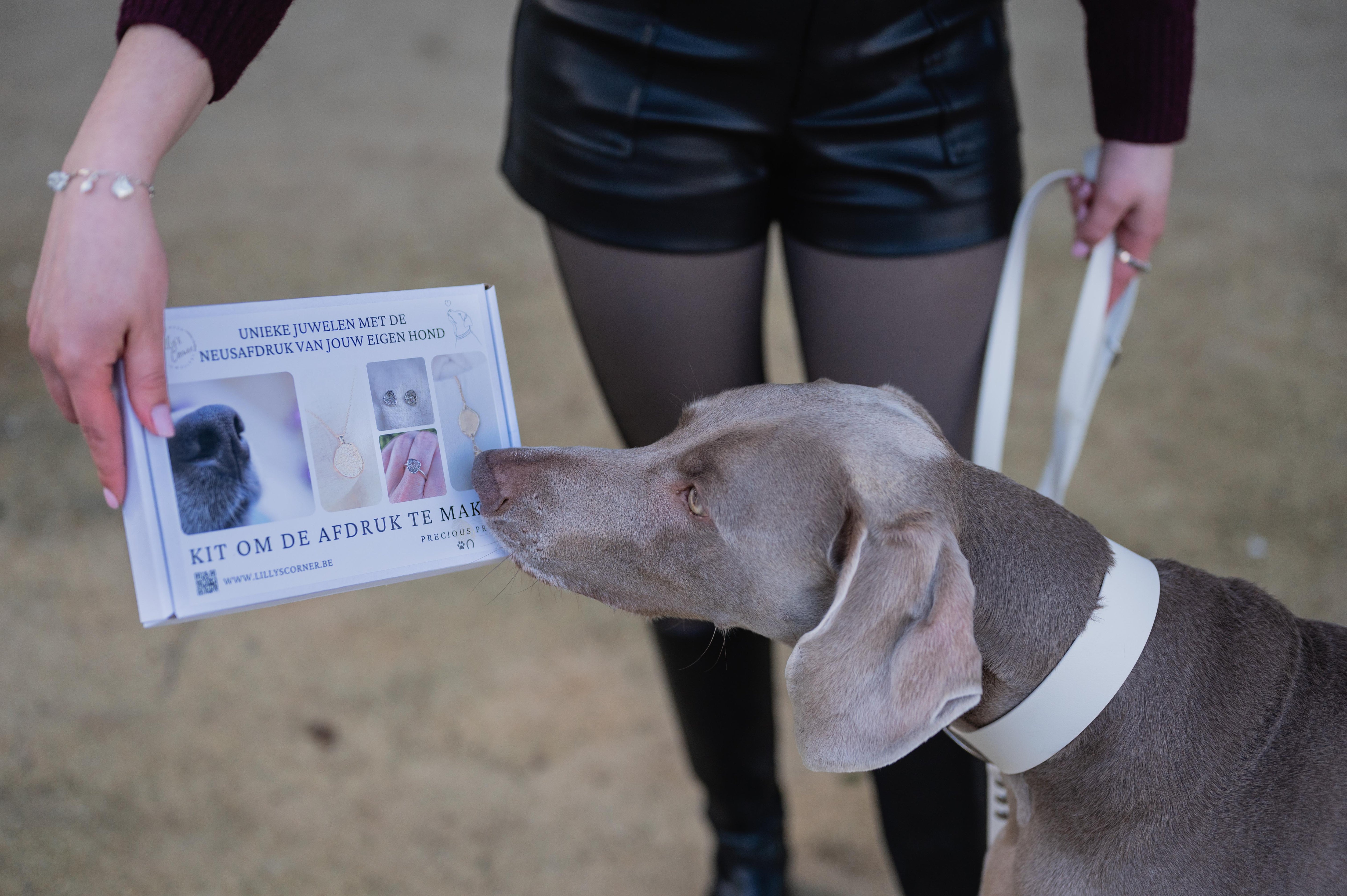 product_image_id:429