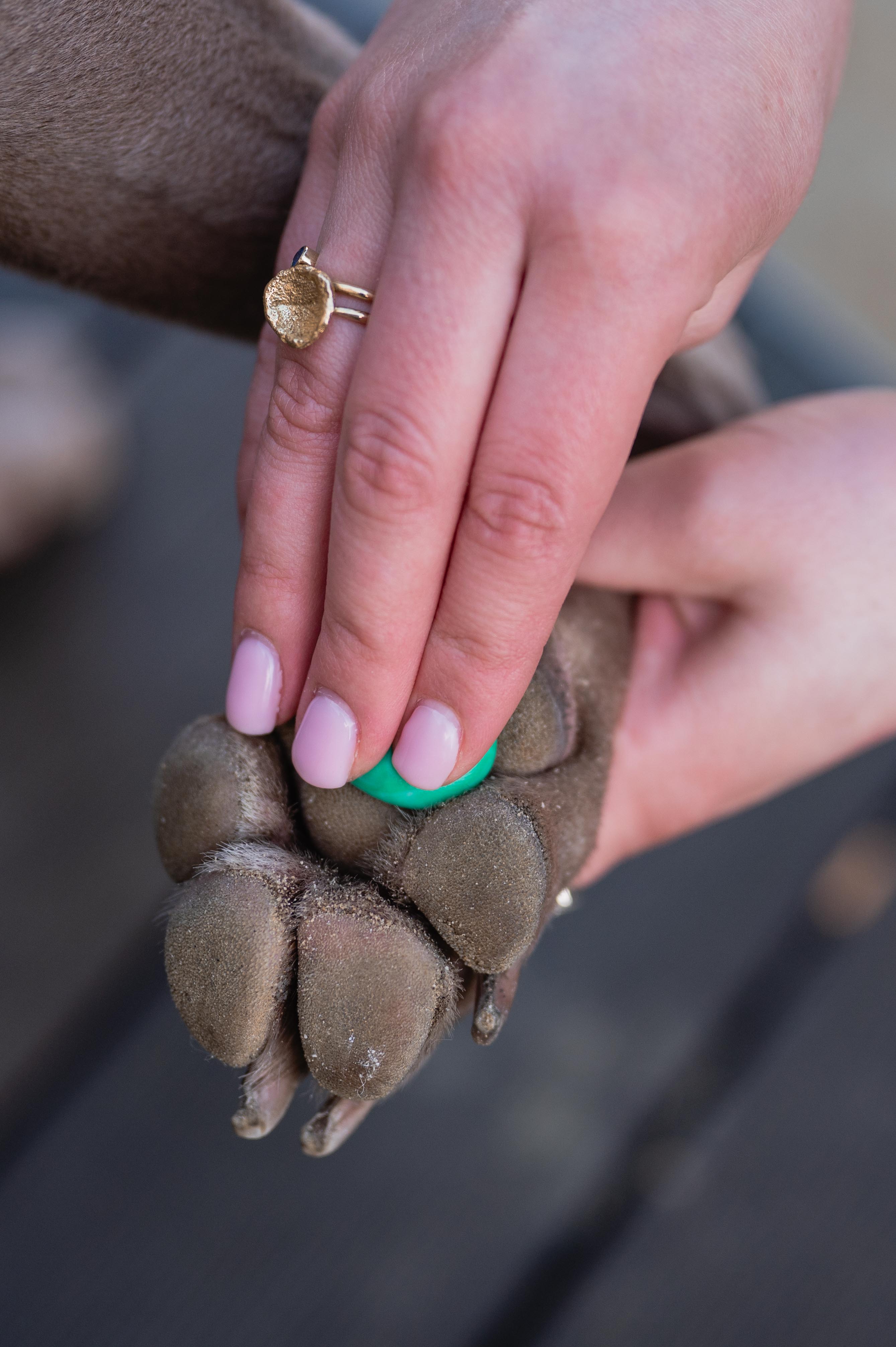 product_image_id:433