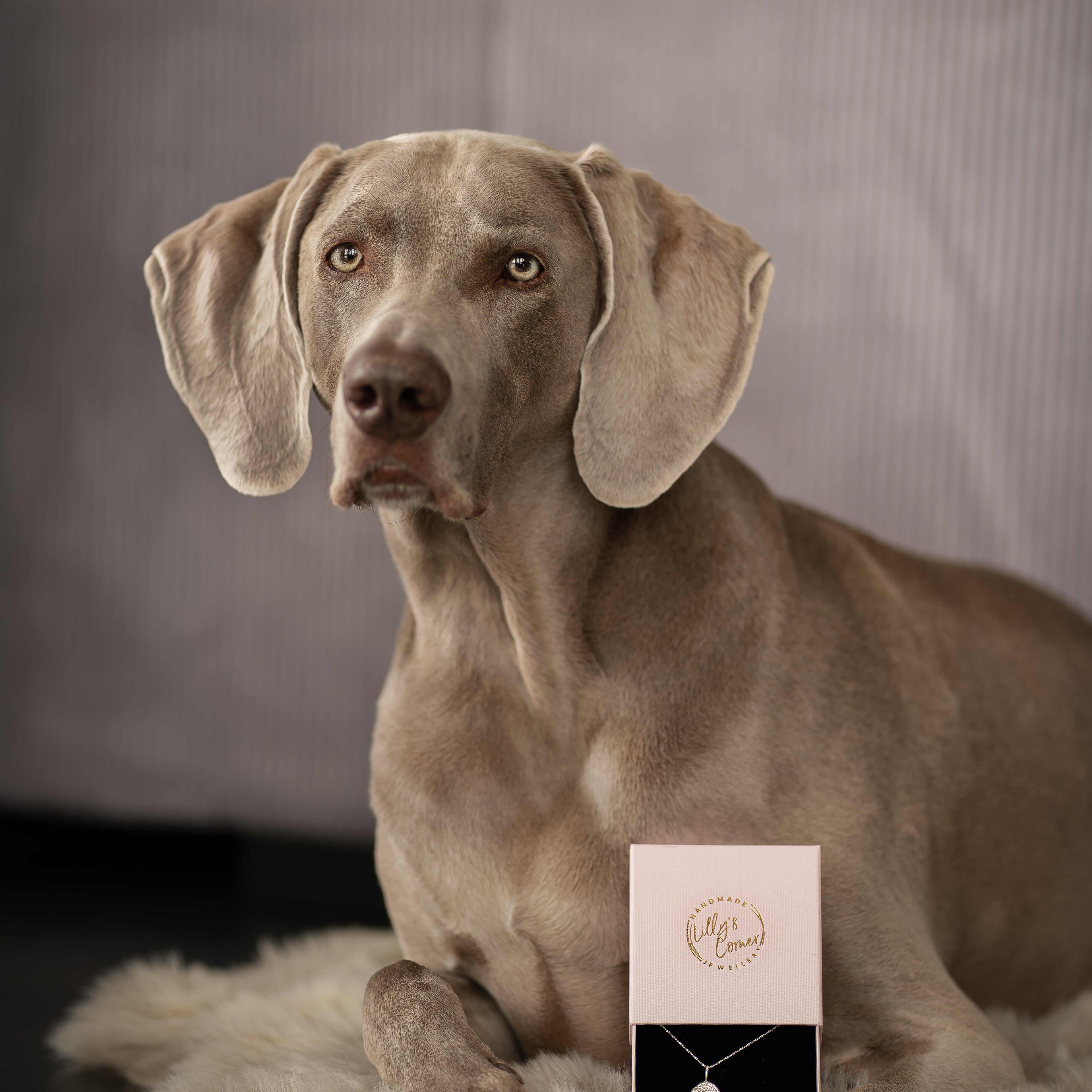 Handgemaakte MIRA hanger met neusafdruk van hond, in juwelendoosje – symbolisch sieraad voor eeuwige verbondenheid met je huisdier