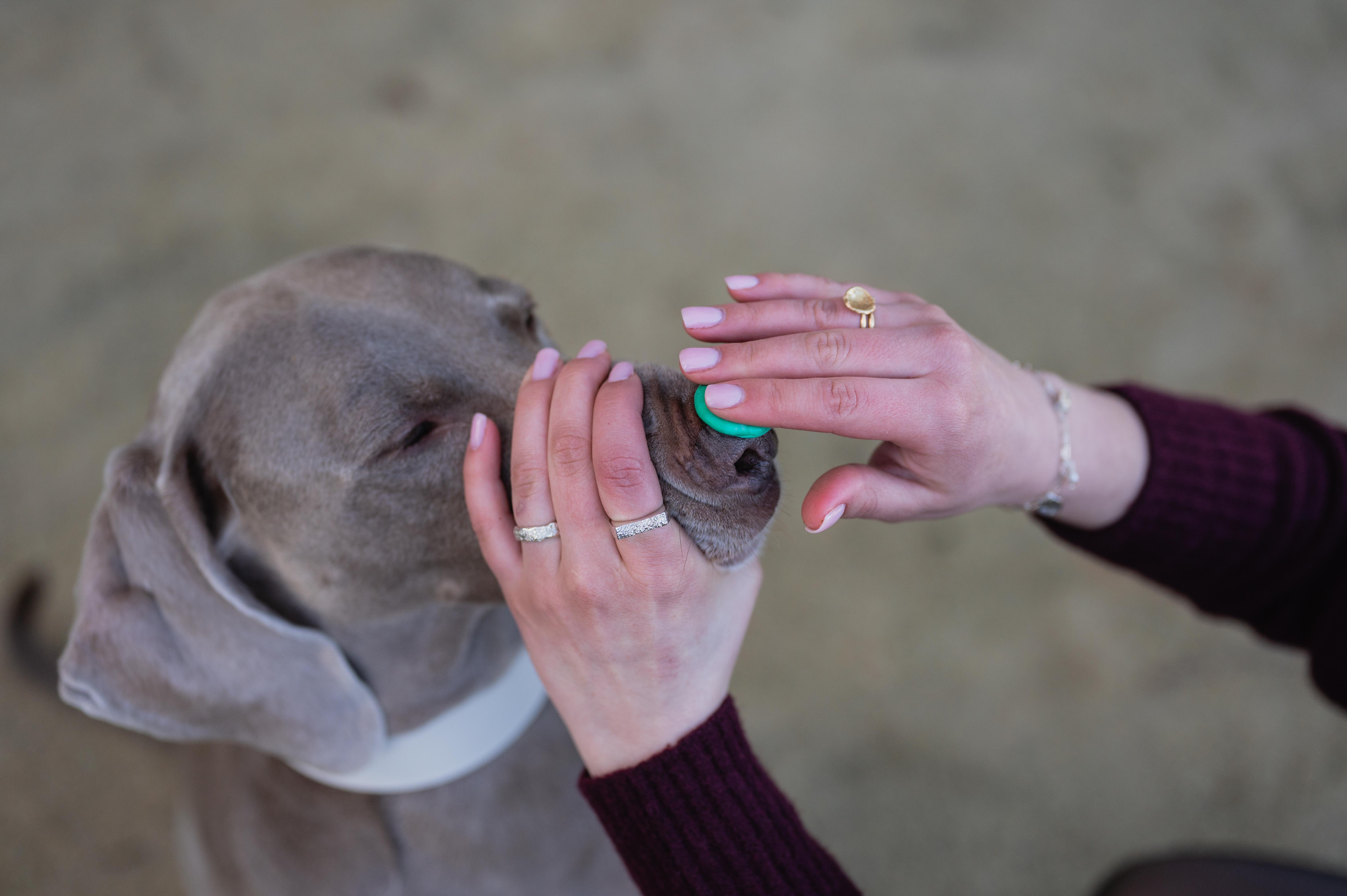 product_image_id:426