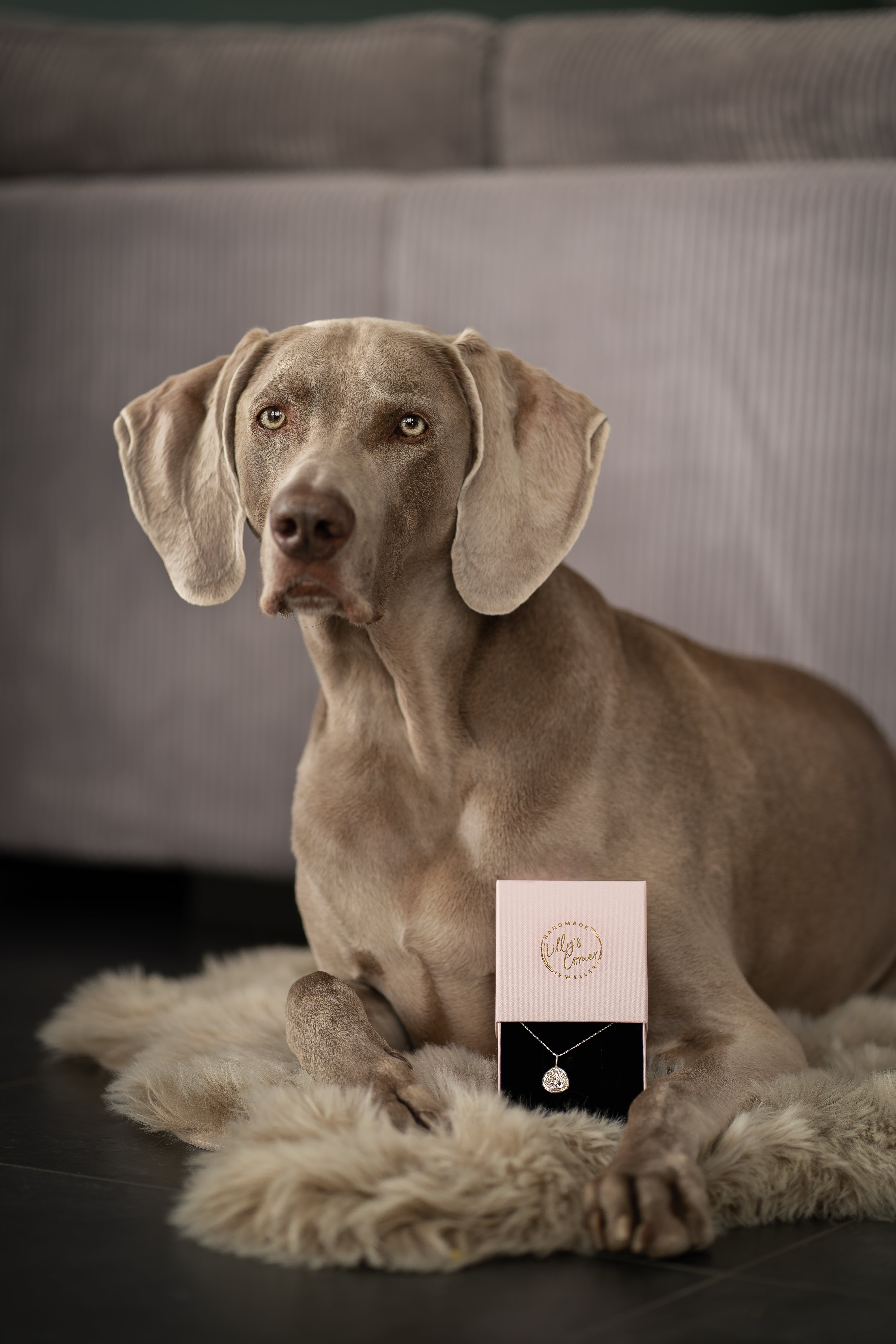 Handgemaakte MIRA hanger met neusafdruk van hond, in juwelendoosje – symbolisch sieraad voor eeuwige verbondenheid met je huisdier